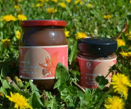 Chocolate cream Gianduia
