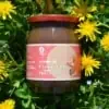 crema cioccolato spalmabile 500g scoiattolo rosso vendita online nocciole