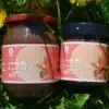 creme cioccolato scoiattolo rosso vendita nocciole
